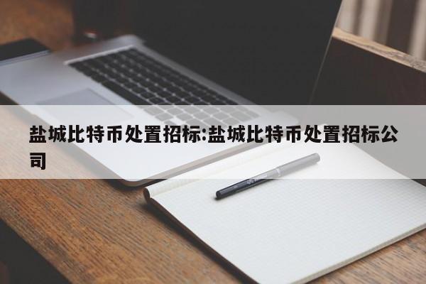 盐城比特币处置招标:盐城比特币处置招标公司