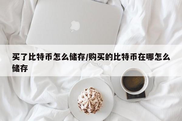 买了比特币怎么储存/购买的比特币在哪怎么储存
