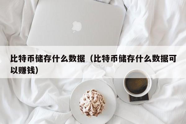 比特币储存什么数据(比特币储存什么数据可以赚钱)