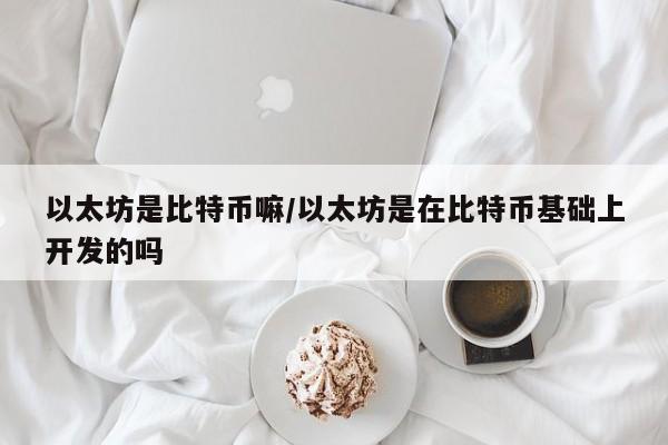 以太坊是比特币嘛/以太坊是在比特币基础上开发的吗