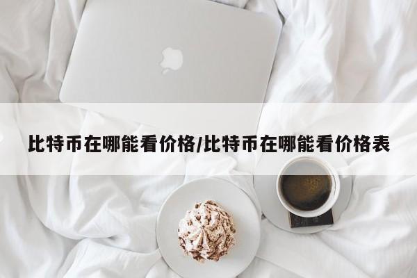 比特币在哪能看价格/比特币在哪能看价格表