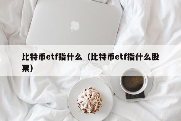 比特币etf指什么(比特币etf指什么股票)